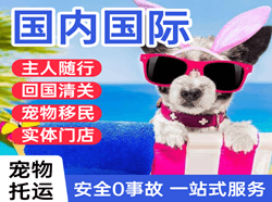 中川空运公司国际宠物托运 【国